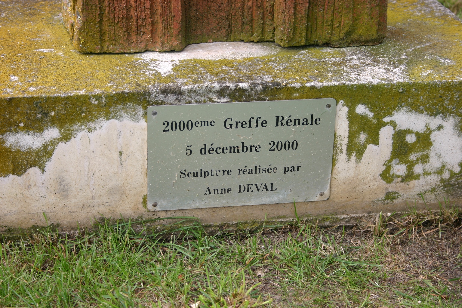 Kidney transplant's monument, Hôpital de Bicêtre, Paris - 03.JPG